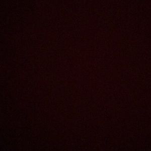 Meet your Posher, Bella